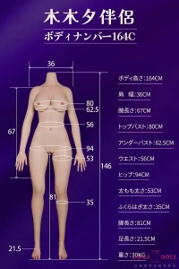 164cm Dカップ高級ラブドール身体